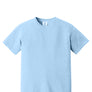 Comfort Colors® Heavyweight Ring Spun Tee 1717